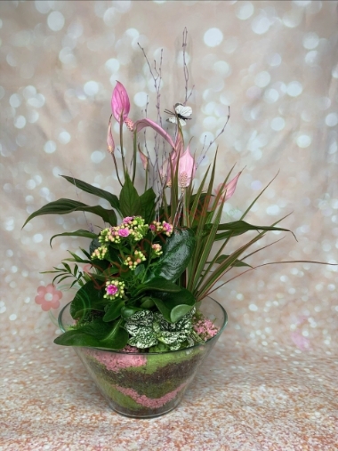 Dawn's Vase 1