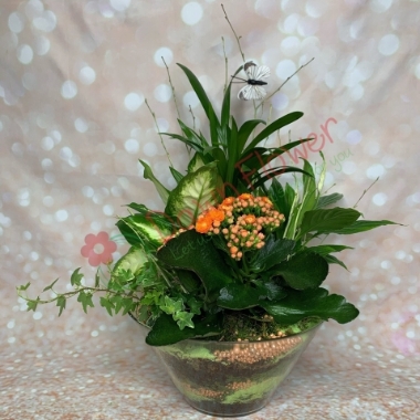 Dawn's Vase 2