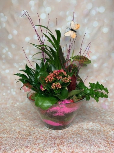 Dawn's Vase 3