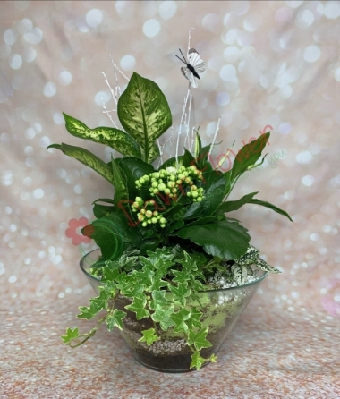 Dawn's Vase 4