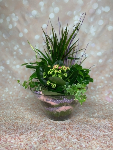 Dawn's Vase 6